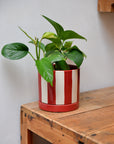 Red Striped Plant Pot With Saucer / Sizes