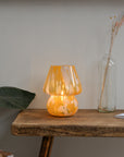 Joyful Portable Lamp / Pink and Orange