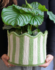Braided Tulip Baskets / Colours