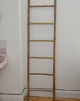 Bamboo Ladder
