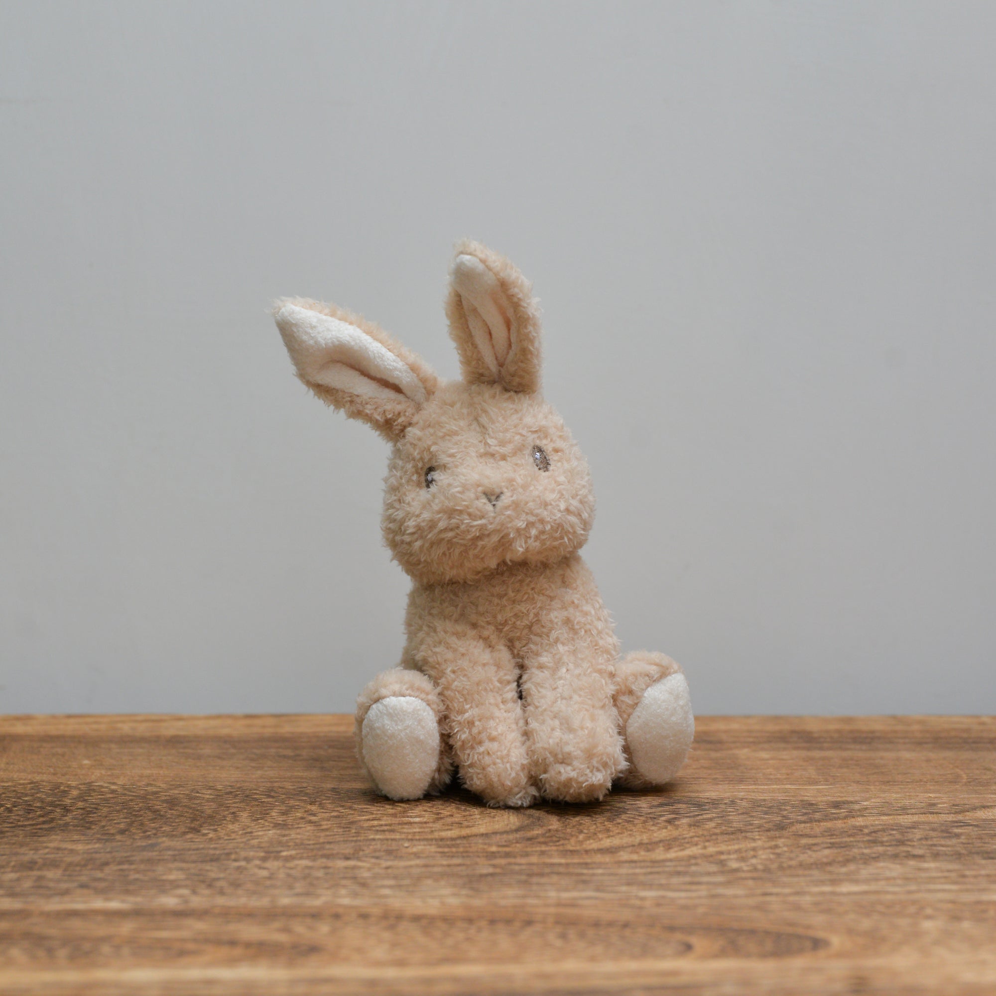 Cuddle Bunny
