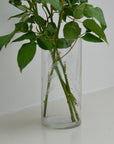Slim Glass Fern Vase
