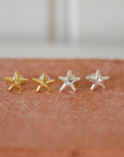 Andre Star Stud Earrings / Silver