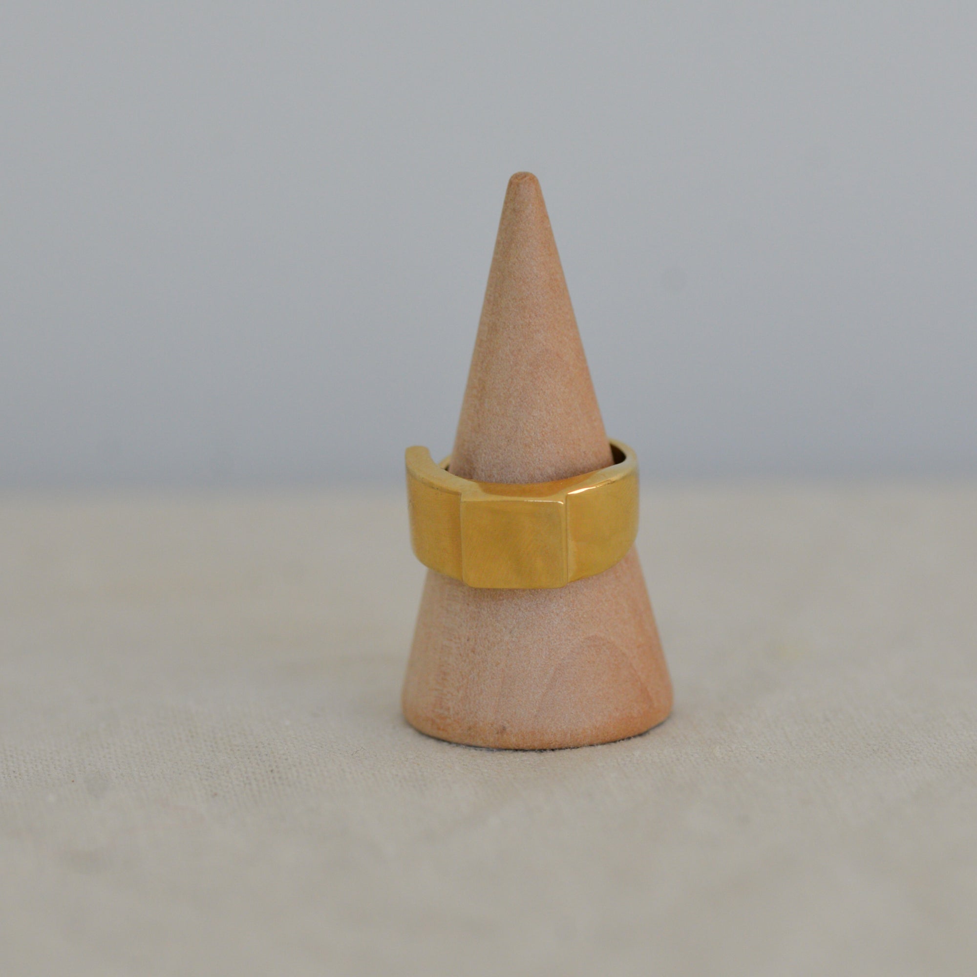 Friends Chunky Ring in Gold