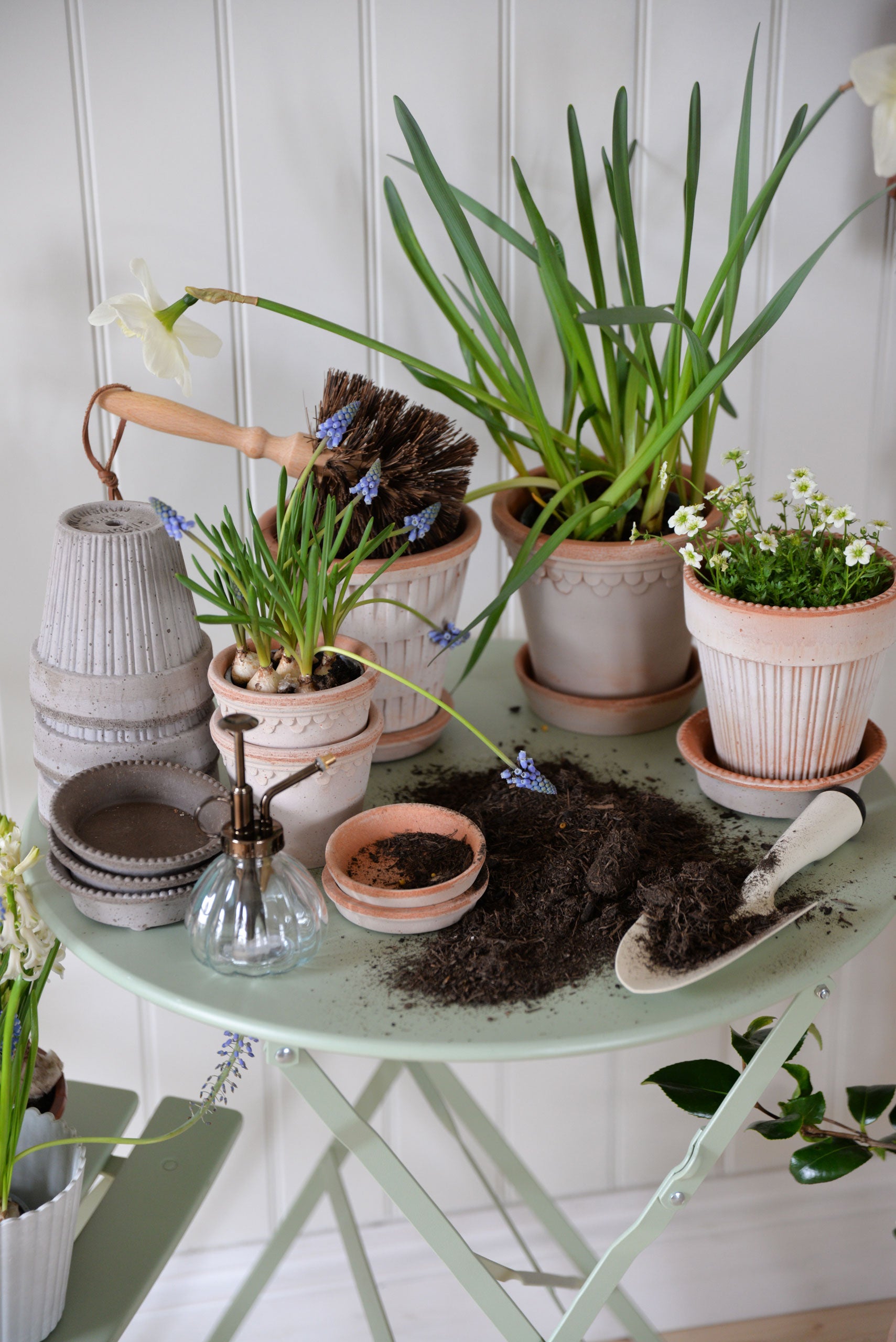 Collection Image